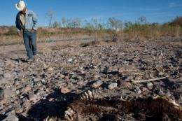 Mexican farmer Ever Mendoza walks next to a carcass in Satevo, Chihuahua state in 2011