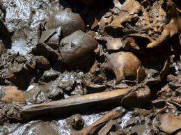 Mexico finds 100s of bones in unusual Aztec burial