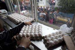 Mexico scrambles to cope with egg shortage