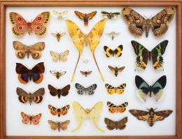 Mission to map 10 million species in 50 years
