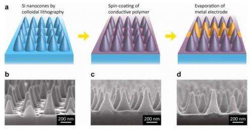 Nanocones could be key to making inexpensive solar cells