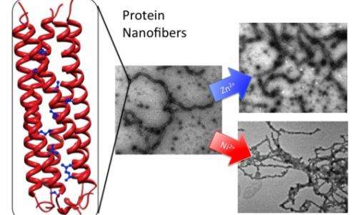 Nanofiber breakthrough holds promise for medicine and microprocessors