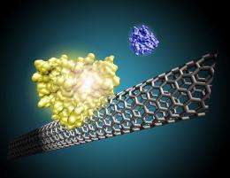 Nanotube technology leading to fast, lower-cost medical diagnostics