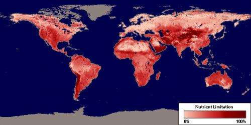 NASA maps how nutrients affect plant productivity