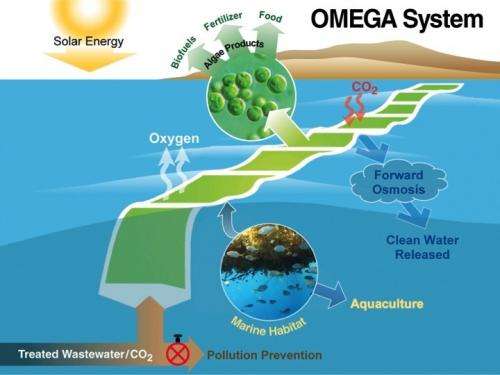 NASA shows off new algae farming technique for making biofuel