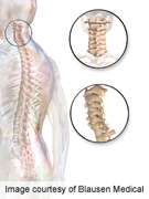 Neck strength, cervical spine mobility don't predict pain