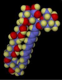 Neutrons help explain why antibiotics prescribed for chemotherapy cause kidney failure