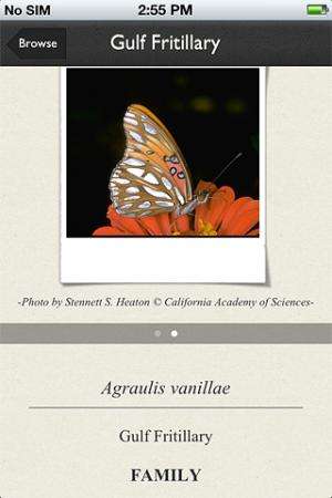 New app puts butterflies on your phone