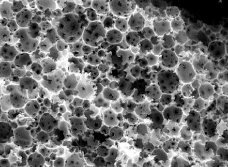 New Biomaterial gets 'Sticky' with Stem Cells