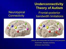 New brain imaging and computer modeling predicts autistic brain activity and behavior