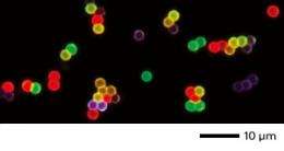 New design for nanoparticles that absorb low-energy light, emit high-energy light may find use in biological imaging