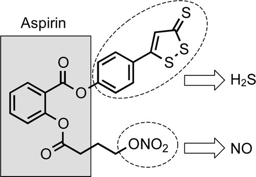 New hybrid 'NOSH aspirin' as possible anti-cancer drug