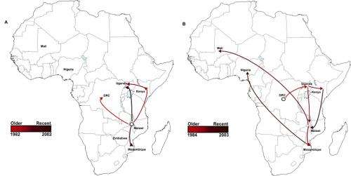 New invasive non-Typhoidal Salmonella epidemic identified in sub-Saharan Africa