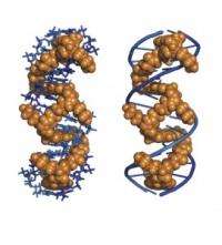 New Molecule Has Potential to Help Treat Genetic Diseases and HIV