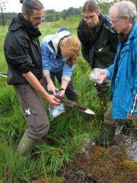 New peatland bacteria feed on greenhouse gas and excess fertilizer