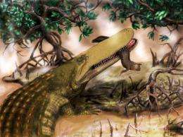 New species of ancient crocodile discovered