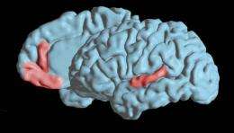 New study uncovers brain's code for pronouncing vowels