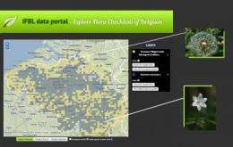 New tool for visualizing the distribution of vascular plants in Belgium
