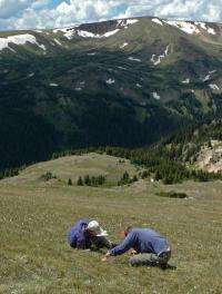 Nitrogen pollution changing Rocky Mountain National Park vegetation, says CU-Boulder-led study