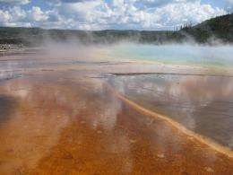 Novel archaea found in geothermal microbial mats