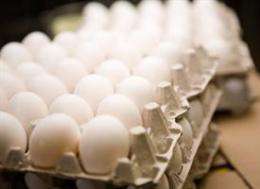 Nutrient in eggs and meat may influence gene expression from infancy to adulthood
