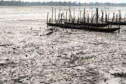 Oil pollution has ravaged swathes of the Niger Delta in the world's eighth largest oil producer