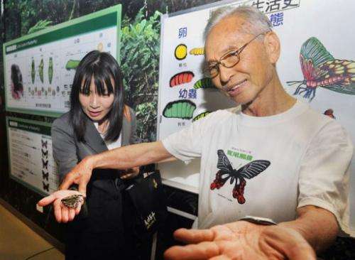 One of the only places to see butterflies in Taiwan's capital is at the museum on the campus of Cheng Kung High School