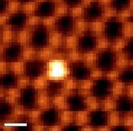 ORNL microscopy reveals 'atomic antenna' behavior in graphene