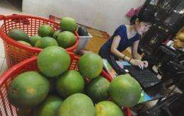 Over the past few years, hundreds of small online businesses have sprung up across Vietnam