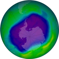 Ozone hole UV impacting marine life:  study