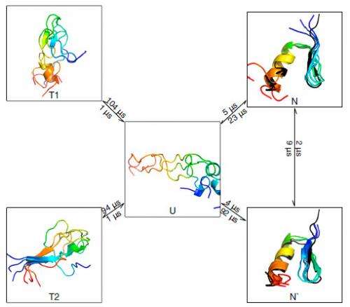 It's complicated: Hidden protein folding complexity revealed by simple Markov state models
