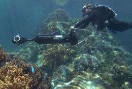 Panoramic images of Great Barrier Reef will take millions on virtual dives