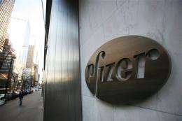 Pfizer 2Q net income rises 25 pct on lower costs