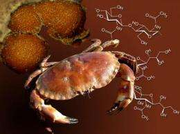 Pharmaceuticals from crab shells