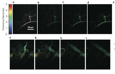 Phosphorescence mapping provides high-speed images
