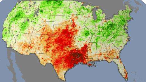 Plant stress paints early picture of drought