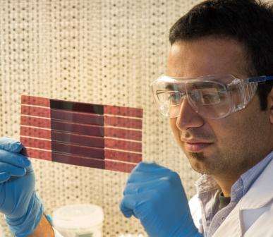 Plastic solar cells pave way for clean energy industry