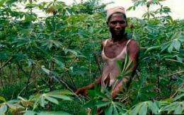 Poisonous toxins a risk to African food security