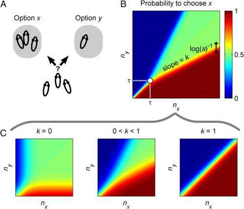 All together now: Single rule accounts for diverse decision systems in animal collectives