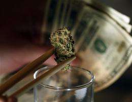Pot, gay marriage, assisted suicide on US ballots