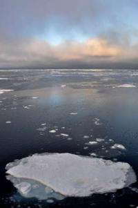 Predicting arctic sea ice loss