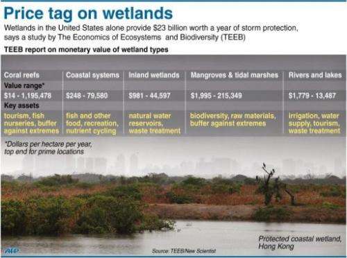 Price tag on wetlands