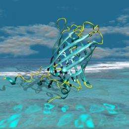 Proteins shine a brighter light on cellular processes