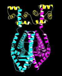 Protein structures give disease clues