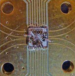 Quantum control protocols could lead to more accurate, larger scale quantum computations