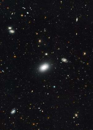 Radio galaxies in the distant universe