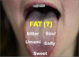 Receptor for tasting fat identified in humans