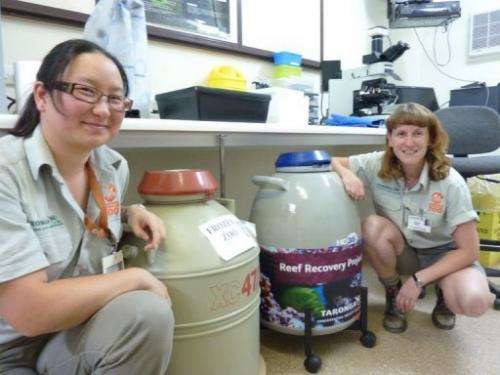 Reproductive biologists Nana Satake and Tamara Keeley with the 'Frozen Zoo' and 'Reef Recovery Project' chambers