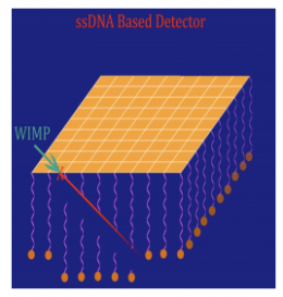 Researchers propose gold and DNA based dark matter detector