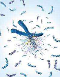 Rigged to explode? Inherited mutation links exploding chromosomes to cancer